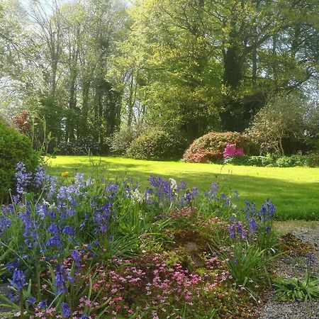 Carncairn Broughshane Quarto foto