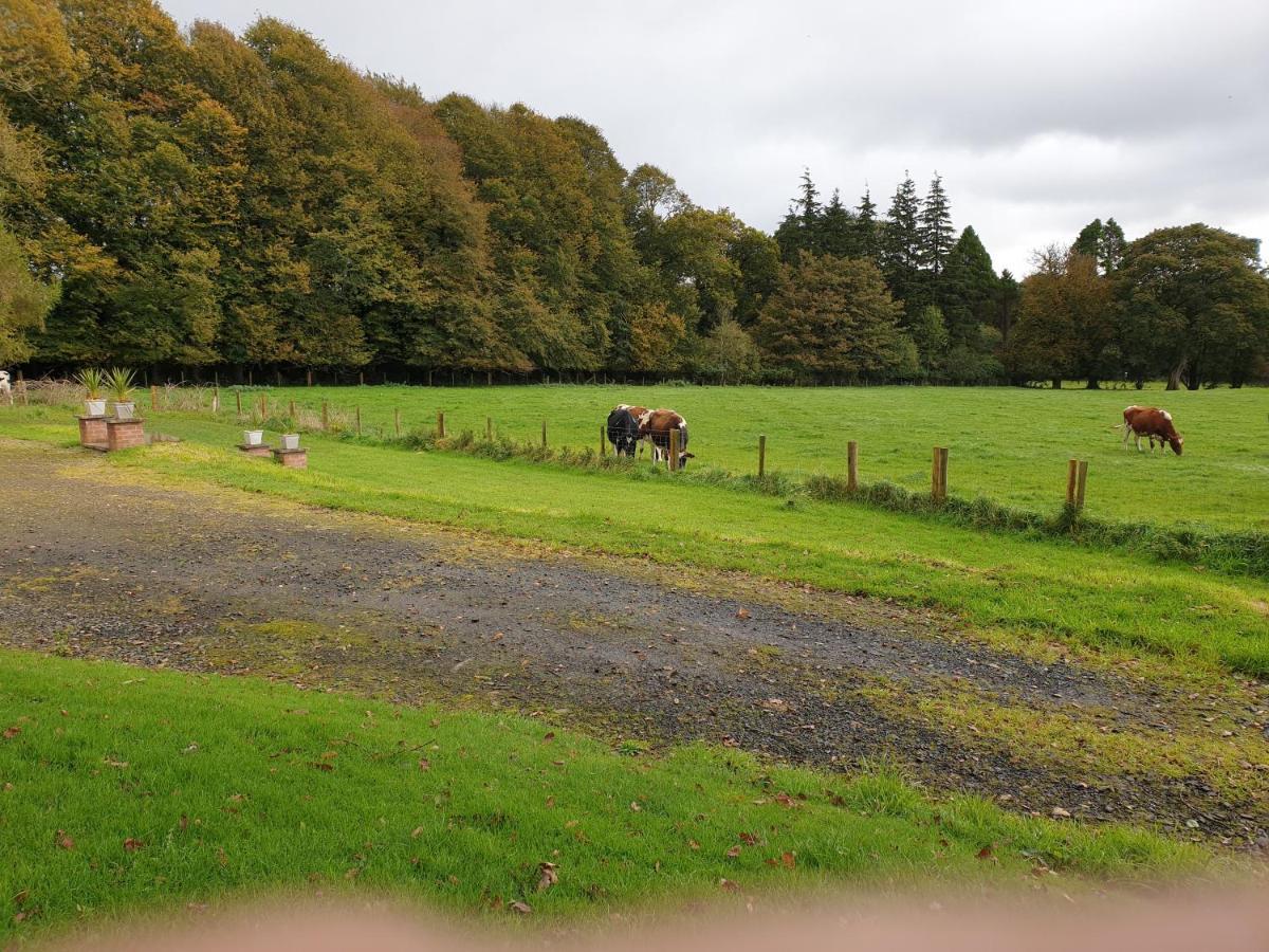 Carncairn Broughshane Exterior foto